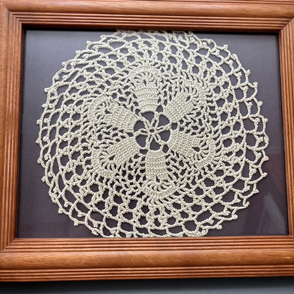 Vintage Framed Crocheted Ivory Doily Country Cottage Decor Unique Wall Art OOAK
